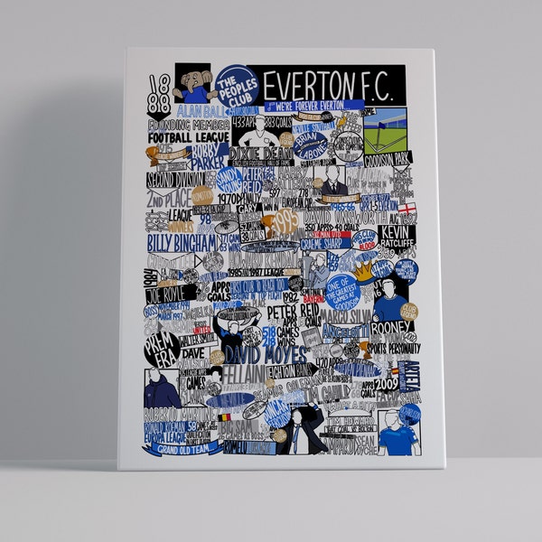 everton fc tie