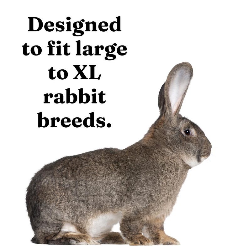 XL Wooden Rabbit Nest Box: Heavy-duty Kindling Box for Large Breeds - Etsy