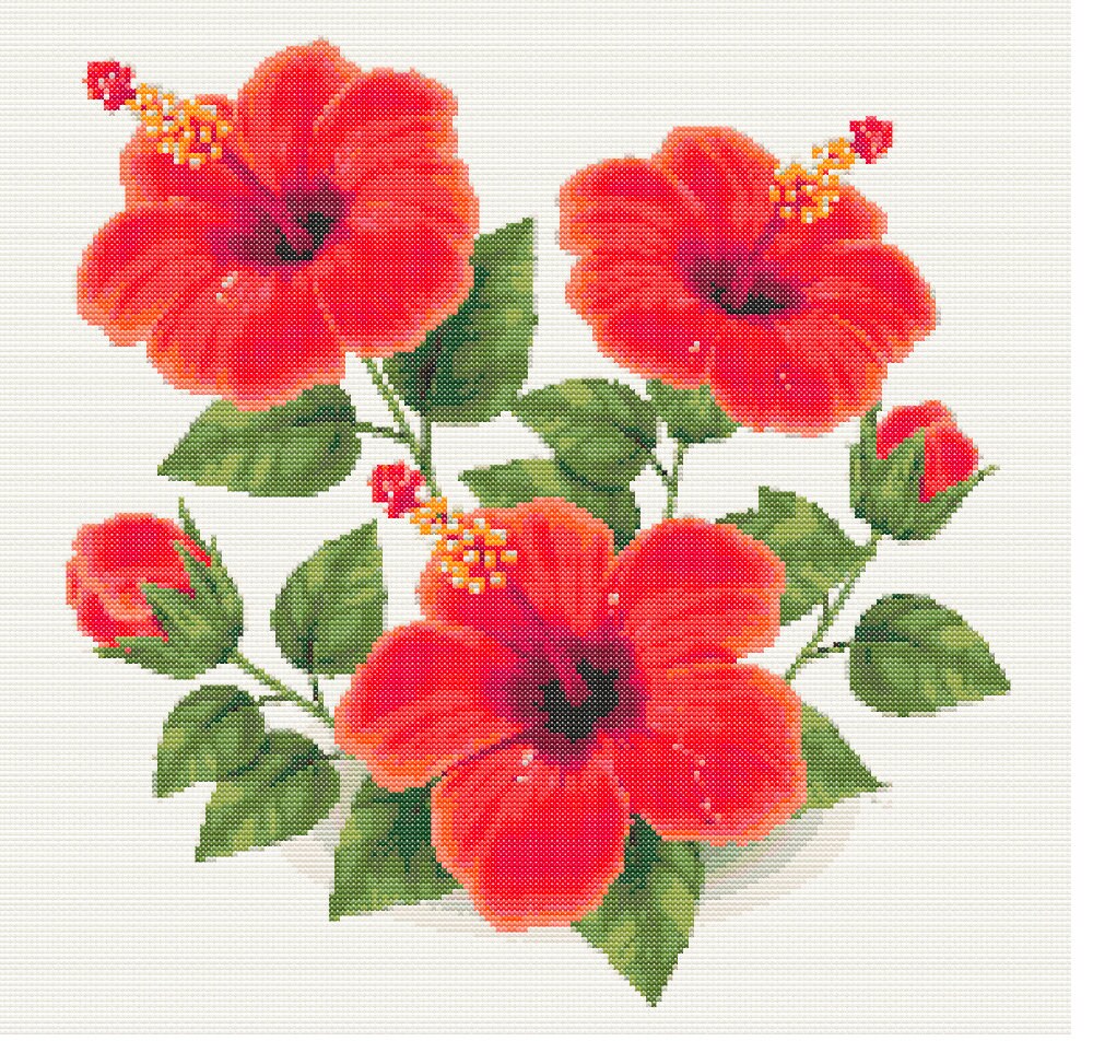 Hibiscus Cross Stitch Digital Download | Etsy