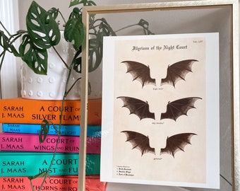 Illyrians of the Night Court | ACOTAR Bat Boys Inspired Print 8.5x11