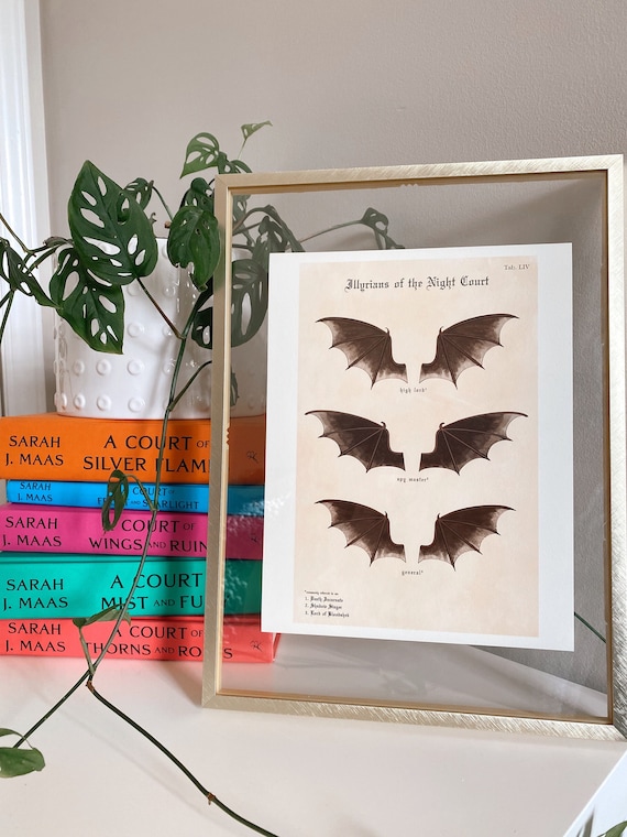 Bat boys sale