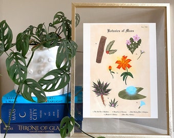 Botanics of Maas | ACOTAR, Crescent City, and Throne of Glass Inspired Print 8.5x11