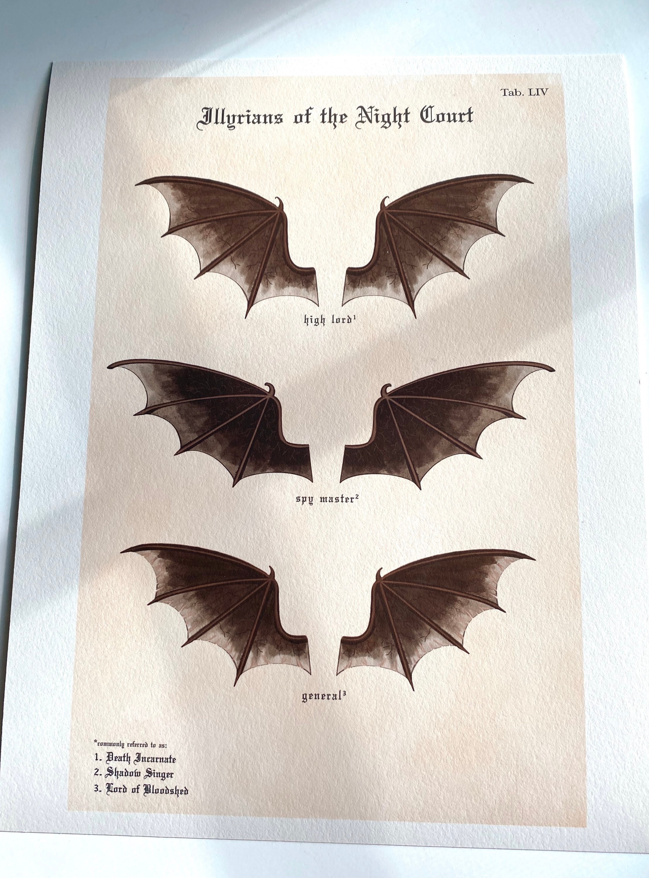 Illyrians of the Night Court ACOTAR Bat Boys Inspired Print Etsy UK