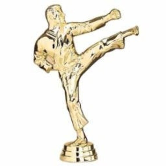 Custom Engraving Martial Arts Trophy Trophies Tournament Etsy