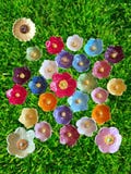 ATTENTION: Currently only REMAINING STOCK. Insect waterers, flowers, garden decorations, decorative items