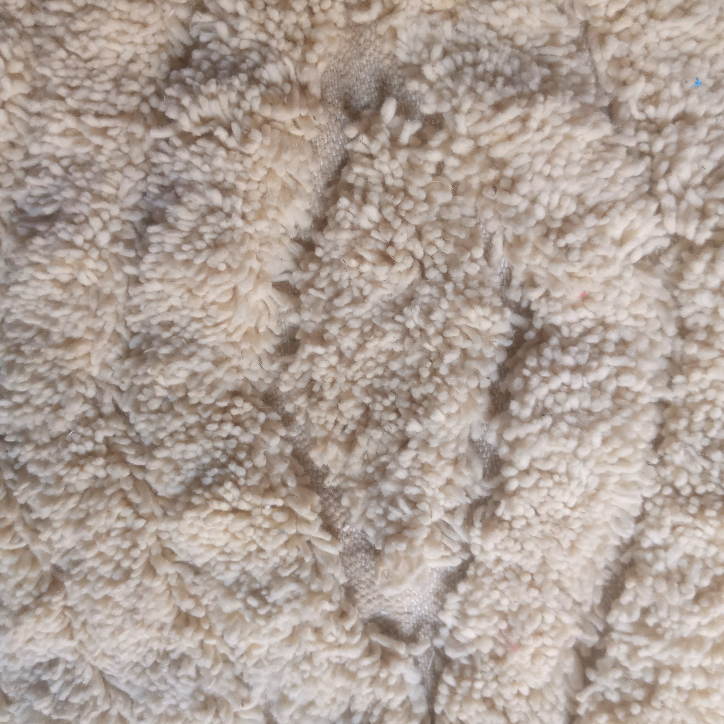 Moroccan Rug White Handmade Wool Rug Neutral Berber Carpet Large and