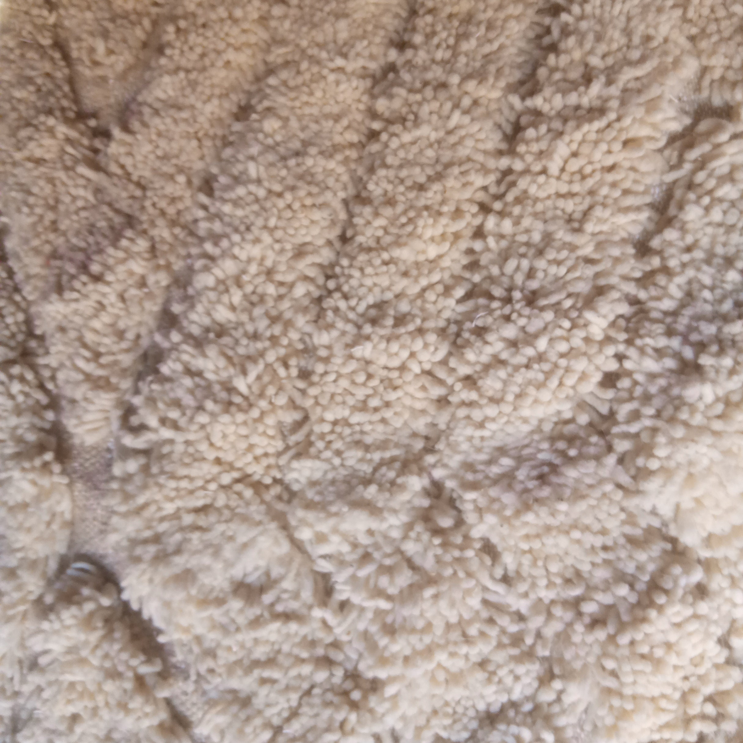 Moroccan Rug White Handmade Wool Rug Neutral Berber Carpet Large and