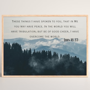 May include: A framed print with a quote from the Bible, John 16:33, "These things I have spoken to you, that in me you may have peace. In the world you will have tribulation; but be of good cheer, I have overcome the world." The print features a scenic image of a misty mountain range with a forest in the foreground.
