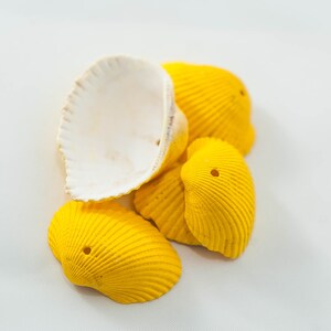 May include: A group of seashells, one white and the rest painted yellow. The shells are arranged in a pile on a white background.