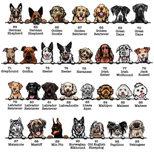 以下が含まれることがあります： 白い表面から顔を出した犬の頭部がカートゥーンで描かれた、93種類の犬種をまとめた表。犬種は64から93まで番号が振られており、それぞれの名前が記載されている。
