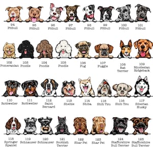以下が含まれることがあります： 犬の品種のチャートで、名前と番号が付けられています。犬は漫画のスタイルで描かれており、白いバーの上に顔をのぞかせています。犬はすべて正面を向いており、幸せな表情をしています。