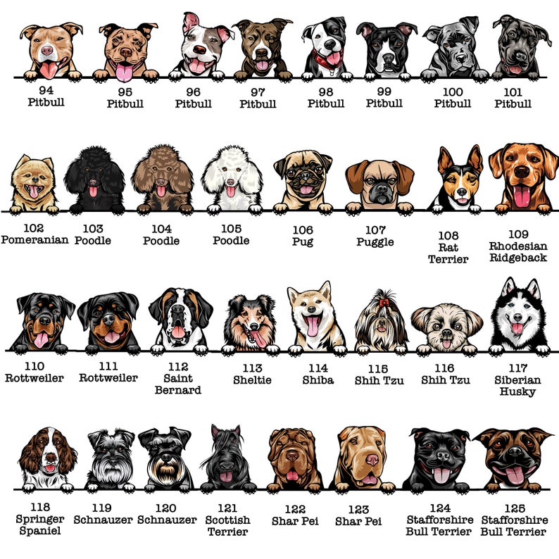 以下が含まれることがあります： 犬の品種のチャートで、名前と番号が付けられています。犬は漫画のスタイルで描かれており、白いバーの上に顔をのぞかせています。犬はすべて正面を向いており、幸せな表情をしています。