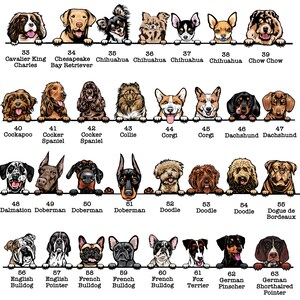 以下が含まれることがあります： 63種類の異なる犬種をまとめたチャートで、各犬種は漫画のイラストで描かれています。犬はすべて視聴者を見ており、白い表面から頭をのぞかせています。チャートには各犬種の名称が記載されています。