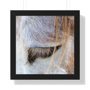 Donkey Wall Art Decor | Framed Animal Painting | Cute Farmhouse Home Decoration | Wildlife Picture | Gift for Animal Lovers | Framed Print