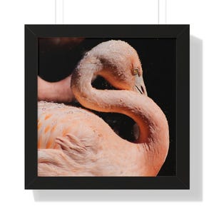 Flamingo Paradise Framed Poster | Whimsical Flamingo Print in Frame | Tropical Flamingo Wall Art | Tropical Bird Art for Your Walls