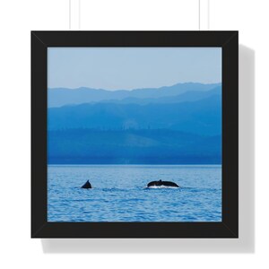 Framed Humpback Whales Print | Two Humpback Whales Wall Poster in Frame | Pair of Humpback Whales Framed Poster | Coastal Wall Art