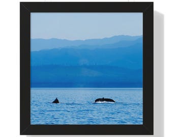 Impression encadrée de baleines à bosse | Art mural côtier