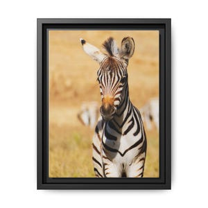 Adorable Baby Zebra Print | Framed Wall Art | Cute Zebra Painting in Frame | Ready to Hang Nursery Decoration| Wildlife Photography Canvas