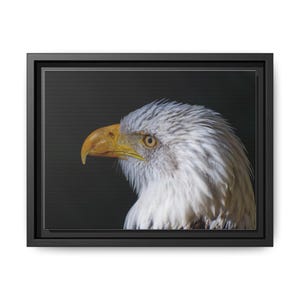 Eagle Poster | Wildlife Wall Art | Bald Eagle Print | Patriotic Home Decor | Animal Photo Print | Distressed Frame Decor | Wildlife Artwork