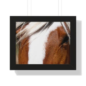 Close Up Horse Framed Print | Horse Wall Art | Vintage Horse Print | Framed Print | Equine Artwork | Animal Photograph | Framed Horse Photo