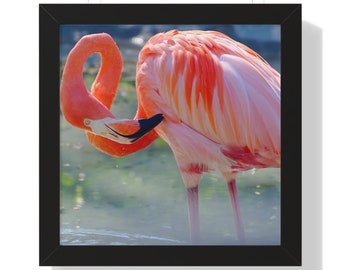 Flamingo (3)-Framed Poster