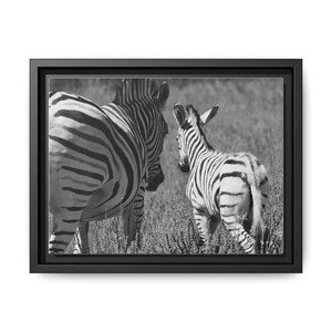 Black and White Zebra Photo Frame | Mom and Baby Framed Canvas Print | Wildlife Print| Safari Photo| Black and White Photo| Baby Print