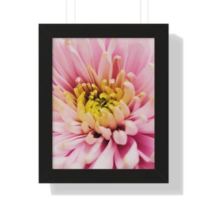 Pink Flower Photography Print | Flower Photography | Nature Photography Print | Framed Art| Pink Art| Flower Art| Nature Photo| Pink Art
