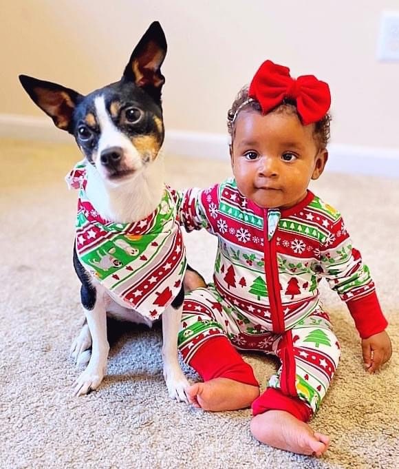 Corgi Pajamas for Kids Etsy