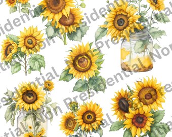 Sunflowers Clipart, Watercolor Sunflowers, Sunflower Art, PNG Bundle, Floral Clipart, Instant Download, Commercial use PNGs, Flower PNGs.