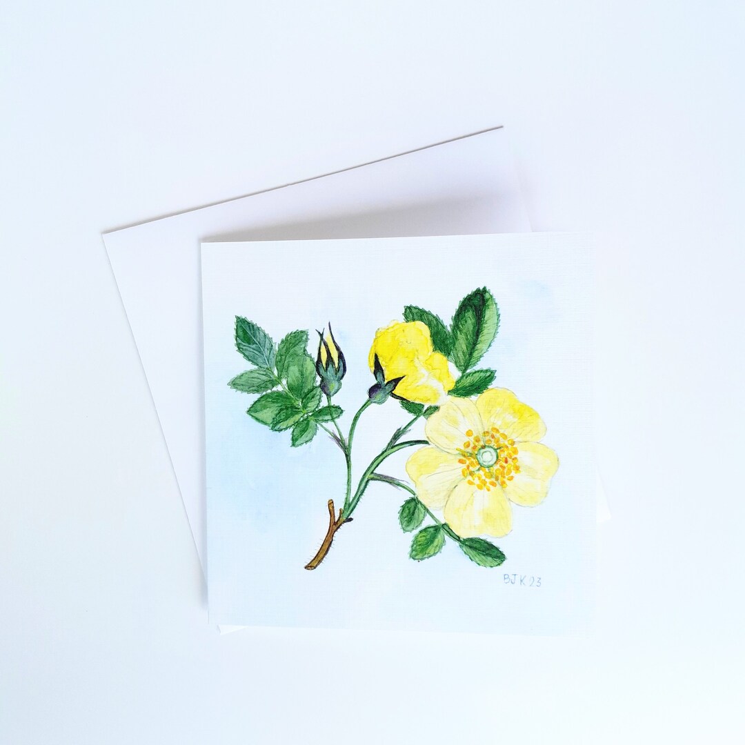Wild Rose Watercolor Greeting Card - Summer Memories Nature Beauty ...
