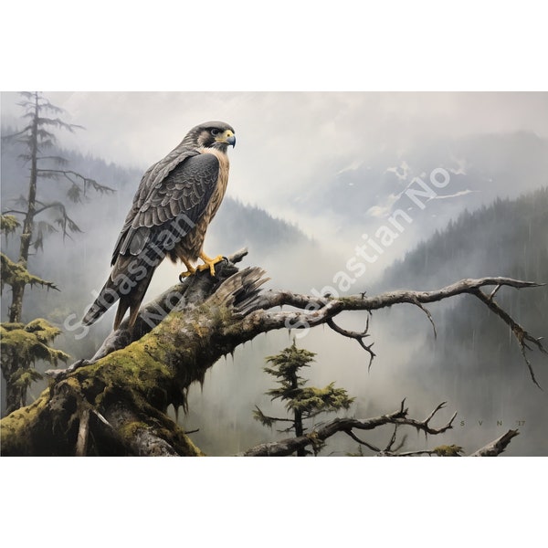 Dominion | Wildtiere Kunst | Natur Malerei | DRUCKBAR | Erhaltung | natur | Sebastian Nr | Audubon | Wanderfalke | Wald | Greifvogel