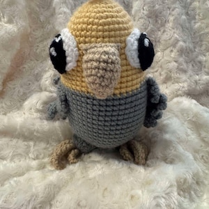 Adorable Cockatiel