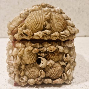 May include: A decorative box covered in various seashells. The box is rectangular with a hinged lid. The seashells are in shades of beige and brown, creating a textured surface. The box is likely used for storing small items.