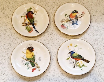 Plato vintage de loro Furstenberg: plato de porcelana colorido, 5 pulgadas