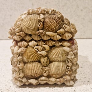 May include: A small, rectangular box adorned with a variety of seashells. The box is in shades of beige and tan, with a curved lid. The seashells are of different sizes and shapes, creating a textured surface. The box appears handmade and is likely for storage or decoration.