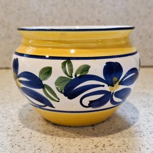 Peut inclure: Un pot rond en céramique avec un bord et une base jaunes, et un corps blanc. Le pot est décoré de motifs floraux bleus et de feuilles vertes. Le pot est probablement utilisé à des fins décoratives ou comme pot de fleurs.