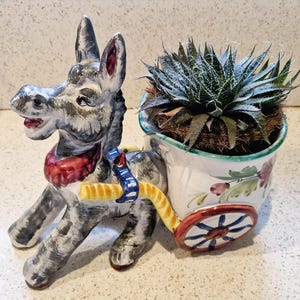 May include: A ceramic donkey planter with a cart, painted in shades of gray, white, red, blue, and yellow. The cart holds a succulent plant. The donkey has a red scarf and is pulling the cart with a yellow and blue harness. The cart has a floral design.