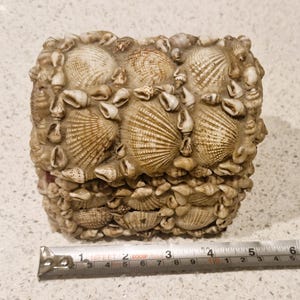 May include: A rectangular box adorned with a variety of seashells, including fan-shaped and small, rounded shells. The box is beige and tan, with a tape measure showing a length of approximately 7.6 cm.