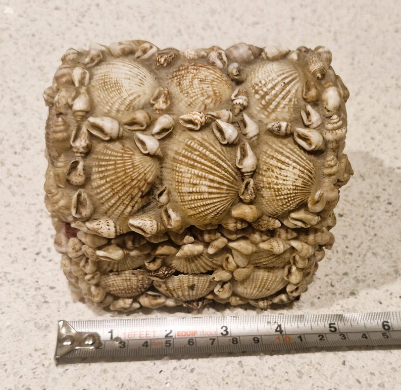 May include: A rectangular box adorned with a variety of seashells, including fan-shaped and small, rounded shells. The box is beige and tan, with a tape measure showing a length of approximately 7.6 cm.