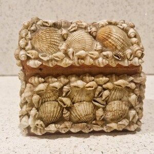May include: A rectangular box decorated with a variety of seashells. The box is beige and tan, with larger shells on the top and front. The box has a reddish-brown fabric lining the interior. The seashells are of different sizes and shapes.