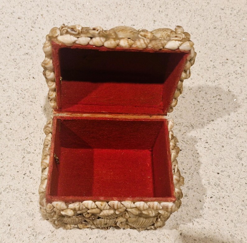 May include: A small, open treasure chest with a red velvet lining. The exterior is decorated with a multitude of seashells, forming a textured, beige border. The chest is open, displaying the red interior.