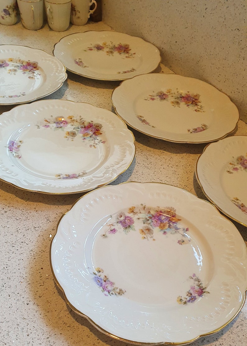 Vintage Fine China Dinner Plates, Vintage French Chintz, Floral on