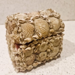Shell Covered Box, Shell Covered, Jewellery Box, Jewelry Box, Vintage Sea Shell Box, Shell Trinket Box, Sea Shells