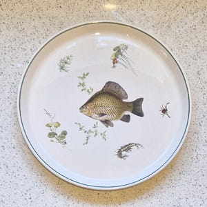 Könnte beinhalten: Ein weißer Keramikteller mit grünem Rand zeigt eine handgemalte Illustration eines Fisches, Insekten und Pflanzen.
