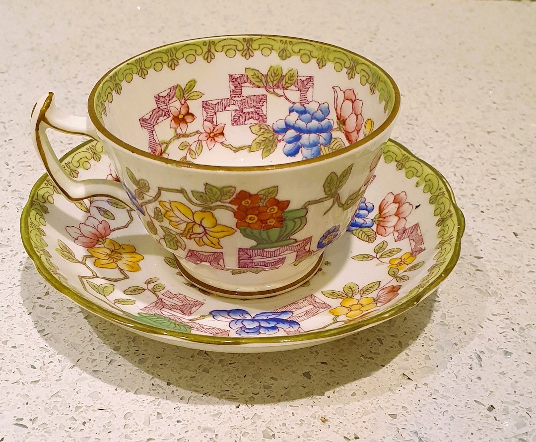 Early Hammersley Bone China Cup and Saucer Japanese Bamboo Etsy UK