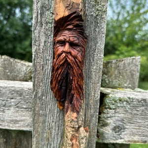 Old Mountain Man