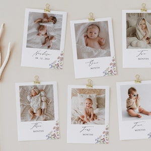 Bannière photo pour premier anniversaire, fleurs sauvages de MILLIA | Bannière photo 1er anniversaire |  Cartes-photos d'étape mensuelle Fleur | Cartes photo d'anniversaire