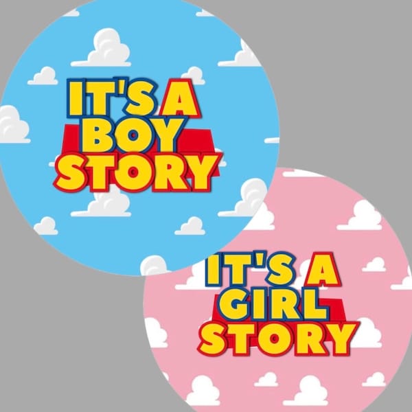 12 It’s A Boy Or Girl Story Stickers