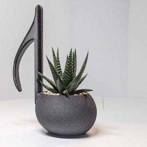 May include: A dark gray, textured planter shaped like a musical eighth note. The round base holds a green succulent plant with white speckled leaves, surrounded by small light-colored pebbles nestled within the top opening of the container.