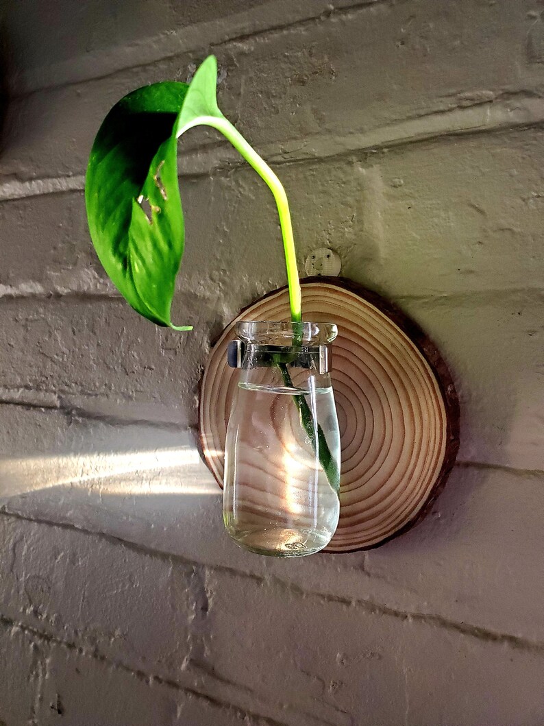 Wall Hanging Propagation Station Etsy